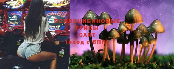 MESCALINE Белокуриха
