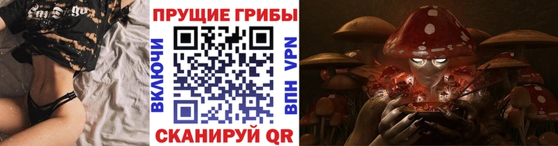 Псилоцибиновые грибы Cubensis нарко площадка состав Шумерля